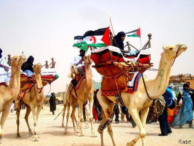 El Frente Polisario
