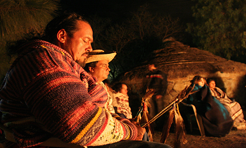 movimientos indígenas