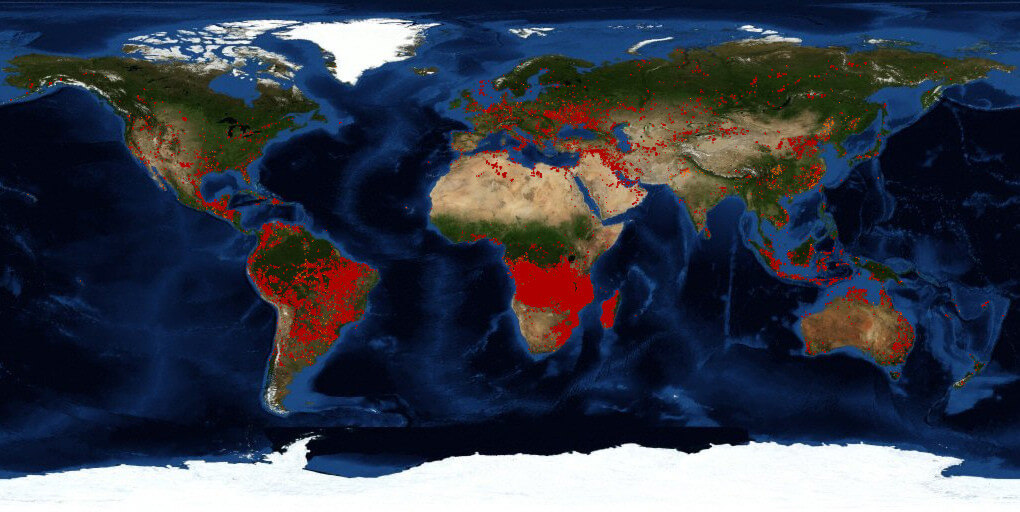 Superioridad numérica de los incendios registrados en el continente africano