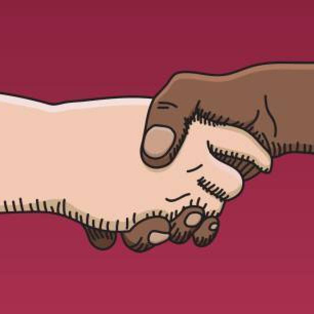 Para el recién llegado al antirracismo