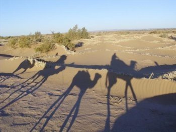 sahara morocco desert