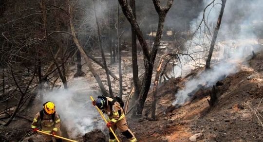 En la zona de Valparaíso se registraron varios incendios forestales que afectaron al menos mil 100 viviendas