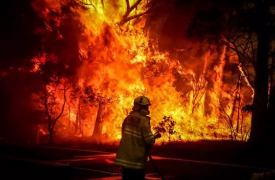 Incendio forestal en Argelia 1