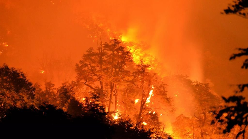 Incendio forestal (Archivo) - Sputnik Mundo, 22.02.2022 © AFP 2022 | Stringer