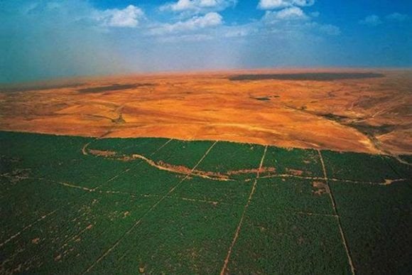 La Gran Muralla Verde del Sahara