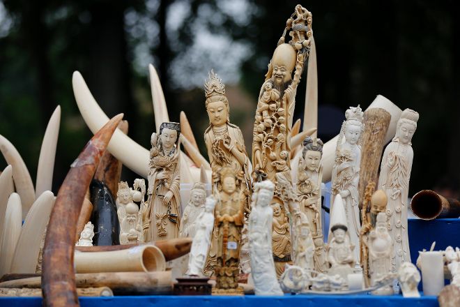 Objetos de marfil confiscados por autoridades chinas